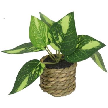 Imagem de Plantas artificiais verdes, flores de eucalipto, mini vasos de plantas para decoração de casa.