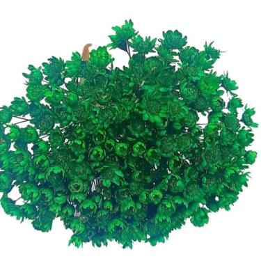 Imagem de Buquê de 300 Flores Secas Sempre Viva Mosquitinho – Mini Florzinhas Naturais para Arranjos e Decoração(Verde Escuro)