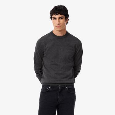 Imagem de Suéter de Gola Redonda de Lã Merino Lacoste Masculina-Masculino