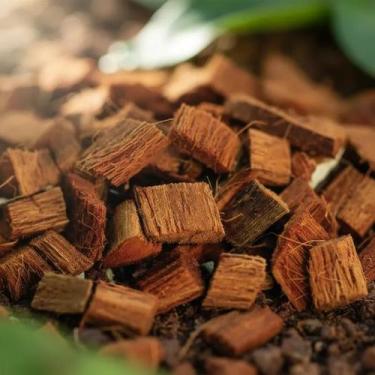Imagem de Chip de coco para orquídea flores plantas 40 Litros Gold Plant