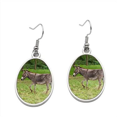 Imagem de Brincos de burro 2 – Brincos com pingente para meninas – Presente de festa de aniversário dos namorados