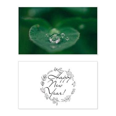 Imagem de Dewdrop Leaf Plant Nature Picture New Year Festival Greeting Card Bless Message Gift