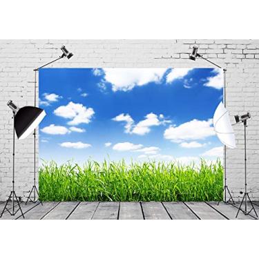 Imagem de BELECO Tecido 3 x 2,4 m Céu azul primavera prado pano de fundo grama verde gramado céu azul nuvens brancas fotografia fundo paisagem natureza decoração de Páscoa criança bebê retrato foto estúdio