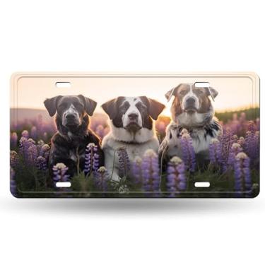 Imagem de Capa criativa para placa de licença Three King Dog Flowers - Etiqueta artística de alumínio, à prova de ferrugem, design exclusivo - 15 x 30 cm