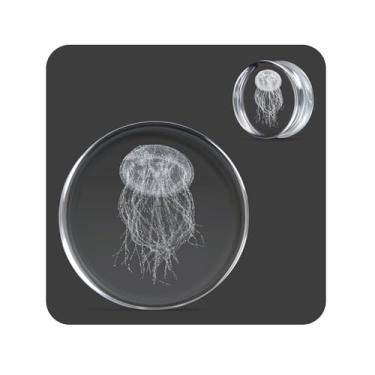 Imagem de COOEAR Unique Body Jewelry Tampões de ouvido de polvo de vidro transparente, medidores para piercings de orelha esticados., 00g(10mm), Vidro, Arenito