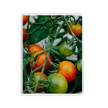 Imagem de Caderno com imagem de árvore de frutas frescas e temperadas, capa de goma