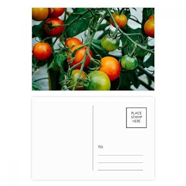 Imagem de Conjunto de cartão postal de aniversário com imagem de árvore de frutas frescas temperadas