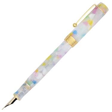 Imagem de Gullor Caneta-tinteiro leve em caixa de presente, inclui conversor, barril de resina, cor B