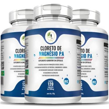 Imagem de KIT C/3 Un. Cloreto de Magnésio P A 120 Cápsulas - Fits Life