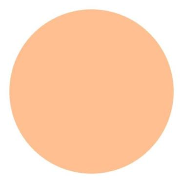 Imagem de Refil Protetor Solar Compacto UV Light Ochre Shiseido 12g - All market