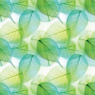 Imagem de Papel De Parede Adesivo Natureza Verde Folhas 12m