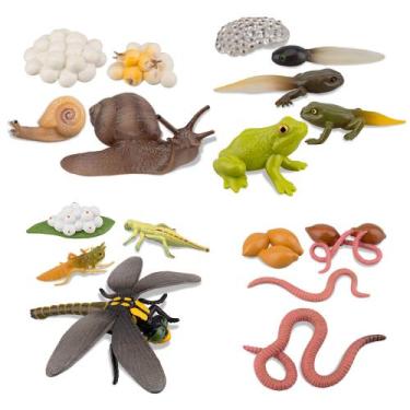 Imagem de Kit de brinquedos para estatuetas Toymany Life Cycle of Frog Snail Ear