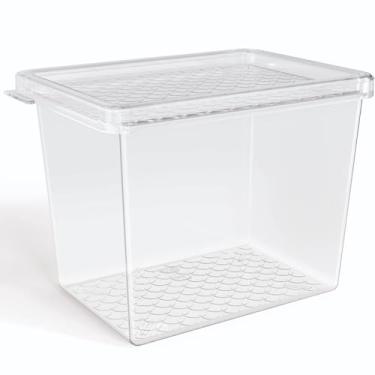 Imagem de Organizador de Geladeira Multiuso Cozinha 1,3L com Tampa Transparente Frutas Verduras UZ