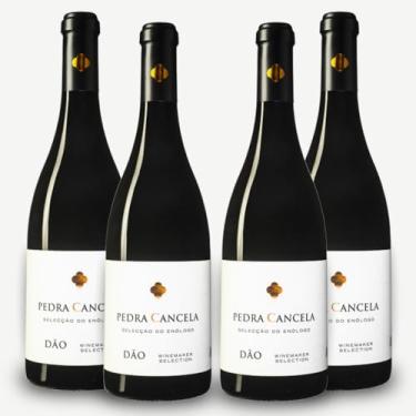 Imagem de Vinho Tinto Seco Pedra Cancela Seleção do Enólogo 750ml – Vinho Português Elegante, Aromas de Frutas e Toque de Cacau, Macio e Equilibrado, Ideal para Massas, Pizza e momentos especiais Kit 2 Vinhos
