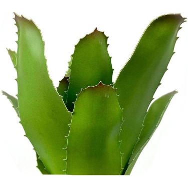 Imagem de Kit 4 Peças Bromélia Planta Artificial Verde 21cm 8 Folhas