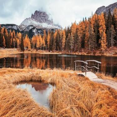 Imagem de Quadro decorativo Árvores Amarelas Vista Majestosa - Arte Moderna para Parede Tamanho 30x30cm