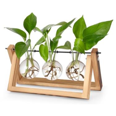 Imagem de Vaso de Vidro Redondo Decorativo para Plantas, Propagação de Plantas com Suporte de Madeira, Vaso de Vidro Decorativo de Mesa, Com Suporte de Madeira para Vaso Decoração de Mesa