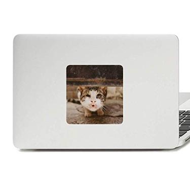 Imagem de Adesivo de vinil com foto de gato engraçado animal para decoração de PC