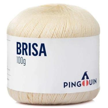 Imagem de Linha Brisa Verão 100g - Pingouin, 0004 CRU