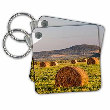 Imagem de 3dRose Porta-chaves fardos de feno em um campo na trilha dos Apalaches. Merrill, Maine, conjunto de 2, 5,7 x 5,7 cm (kc_259409_1)