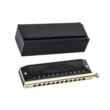 Imagem de Gaita profissional cromática de 12 furos para iniciantes e adultos