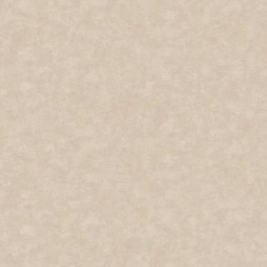 Imagem de Papel de Parede Nature Cimento Queimado Cinza TONU8009