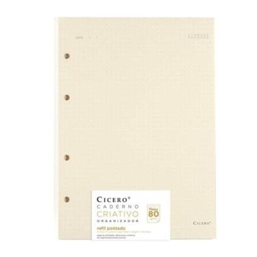 Imagem de Refil Caderno Argolado Cicero Polen 80g 17x24cm Pontado 40Fls