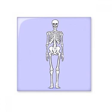 Imagem de Estrutura óssea do corpo humano cerâmica azulejo brilhante decalque vitrificado tijolo adorn pedra