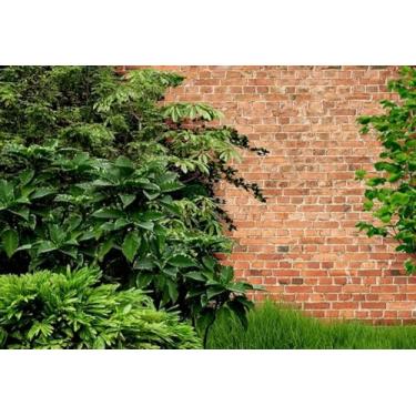 Imagem de Fundo Fotográfico Parede Boiserie Boulangerie Cenário Tecido (FDPAR019, 1,50 x 2,20m)