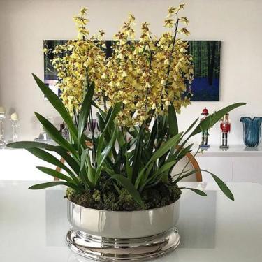 Imagem de Centro de Mesa Silhouette Grande Prata - St James