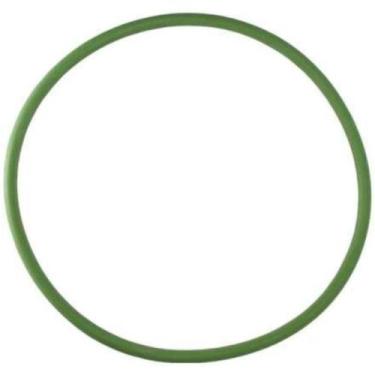 Imagem de Guarnição da flange do módulo de combustível Trs Onix 2013 a 2019 - DS