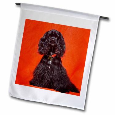 Imagem de 3dRose Cão Cocker Spaniel com colarinho vermelho - Zandria Muench Beraldo - Bandeira de jardim, 30,48 x 45,72 cm