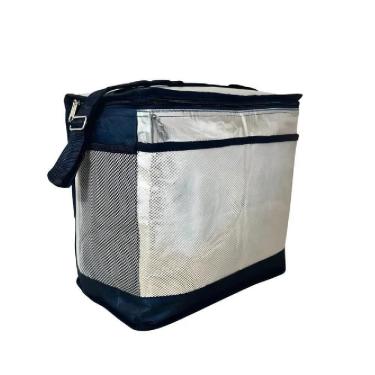 Imagem de Bolsa Termica Portatil 17l Academia Marmita Com Alça Para Frasqueira Impermeavel Cooler Dobrável Camping Prai