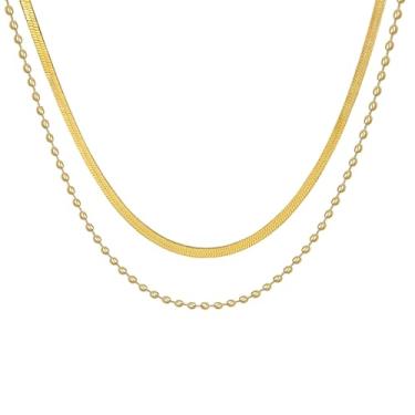 Imagem de LILOLILO Colar feminino de camada dupla, espinha de peixe delicada e corrente de cobra, banhado a ouro 14 K, joias empilháveis hipoalergênicas, adjustable 3inch, Latão, Sem Pedra Preciosa