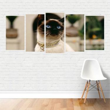 Imagem de Quadro Animais Gato Siamês Felino Coleira Cat Doméstico Canvas
