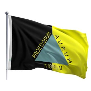 Imagem de Bandeira do Município de Ouro Preto Uma Face Estampada Tamanho 70x100c