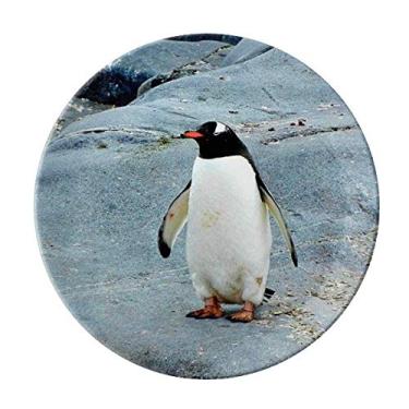 Imagem de Pedra Antártica Prato de Ciência da Natureza Pinguim do Oceano Decorativo de Porcelana Salver Prato de Jantar