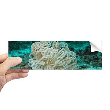 Imagem de DIYthinker Adesivo retangular de para-choque natureza ciência verde oceano decalque para janela notebook