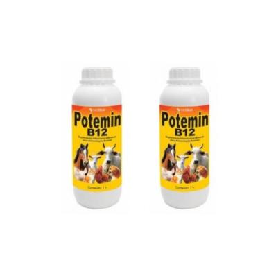 Imagem de Kit 02 Potemin B12 Suplemento Mineral  1 Litro Vetbras