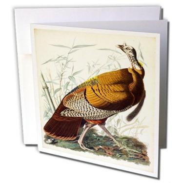 Imagem de 3dRose Pintura vintage de John J Audubon Wild Turkey pd-us - Cartões comemorativos, 15 x 15 cm, conjunto de 6 (gc_119853_1)