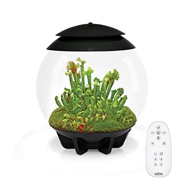 Imagem de biOrb Air 30 Terrarium, preto