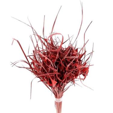 Imagem de Capim Estrela Vermelho Desidratado - Tem Flores