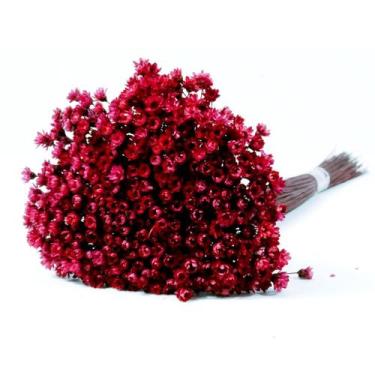 Imagem de Sempre Viva Marsala p/ Decoração - Pense Flores