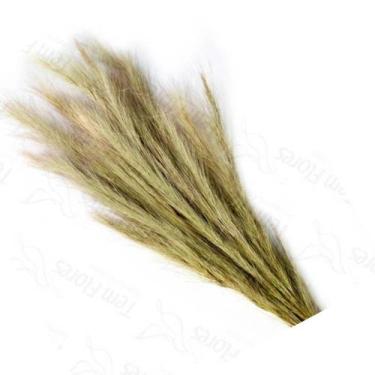 Imagem de Rabo Raposa Natural Flor Desidratada Buque Flores Secas - Sempre viva 