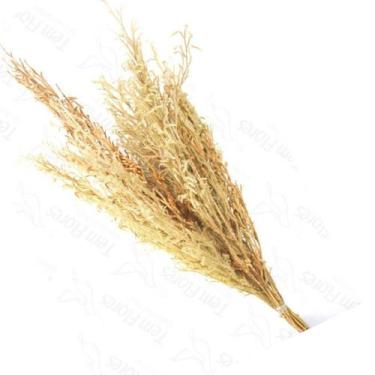 Imagem de Capim Pé De Sapo Natural Flor Desidratada Buque Flores Secas - Pense F