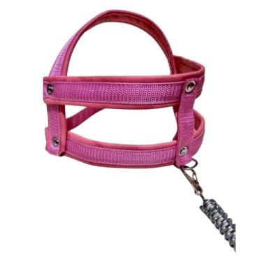 Imagem de Coleira Peitoral para Cachorro Personalizada com Nome e Telefone – Guia Anti Puxão Reforçada Roxa(PPPP (1,5kg até 3kg),Rosa)