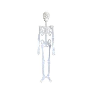 Imagem de Corpo de esqueleto de crânio luminoso brinquedo assustador de Hallowee