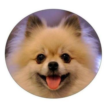 Imagem de Capa De Estepe Ecosport Aircross Crossfox Doguinho