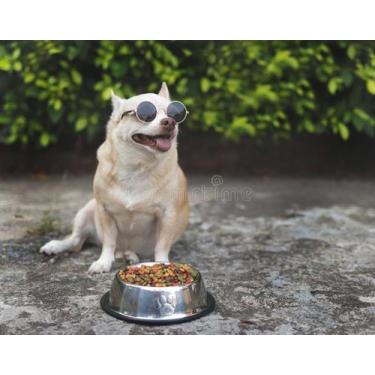 Imagem de Tigela Comedouro P/ Animais Triangular De Canto 21x7cm 1,1l - playnews