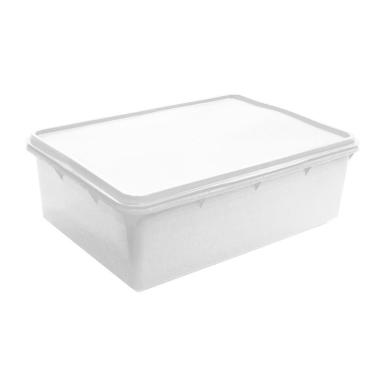 Imagem de Caixa Plástica Organizadora Empilhável E Hermética Com Tampa 11l Plasvale - 37x26x14 (c...
